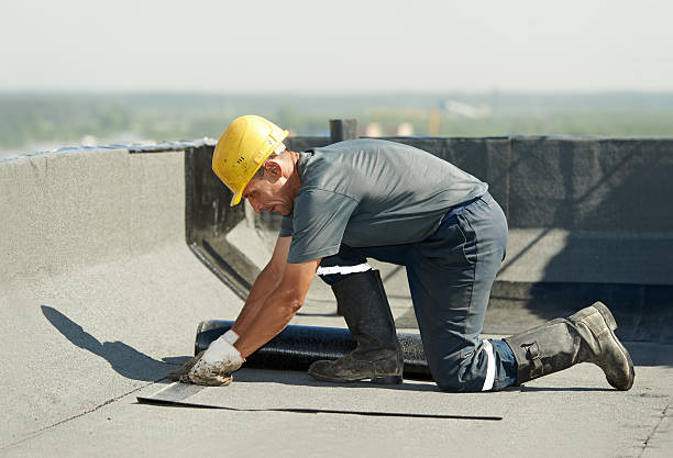 Best Insulation Installation Services in Tracy, MN