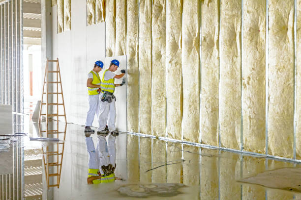 Best Insulation Maintenance and Repair in Tracy, MN